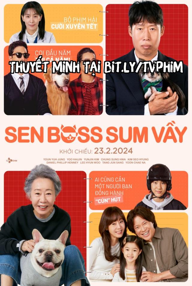 Sen Boss Sum Vầy